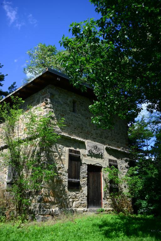 Panoramahotel & Restaurant Am Marienturm Rudolstadt Zewnętrze zdjęcie